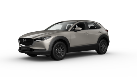 Mazda Mazda CX-30 ENTRY 2.0 6AT 7G